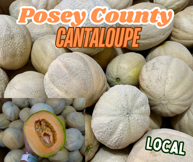 image-964846-Athena_Cantaloupes-c9f0f.jpg