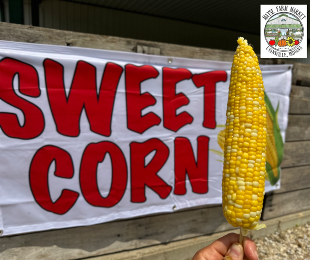image-1001359-butter_corn_on_stick-e4da3.w640.png