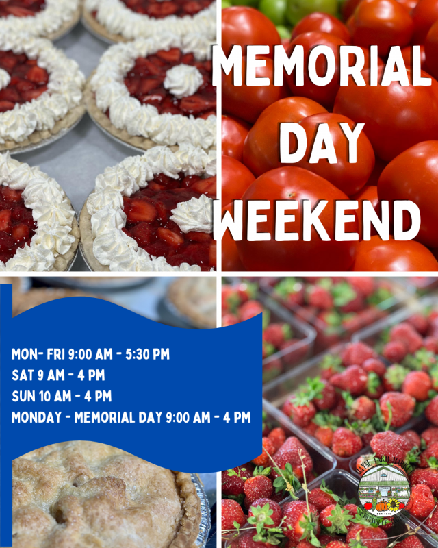 image-1011886-Memorial_Day_Collage-c20ad.w640.png