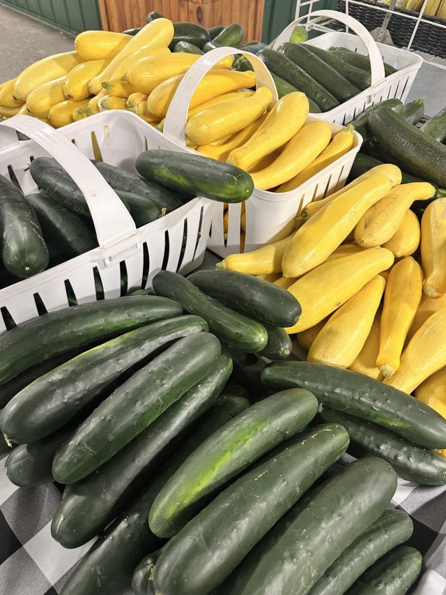 image-1011905-squash_zucchini_cukes-45c48.w640.jpg