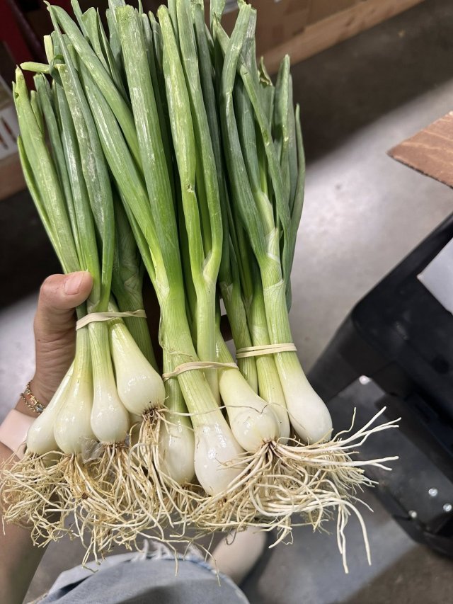 image-1011907-green_oniones_homegrown-c51ce.w640.jpg