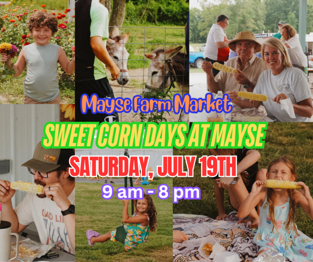 image-1013643-People_at_sweet_corn_event_(2)-d3d94.w640.png
