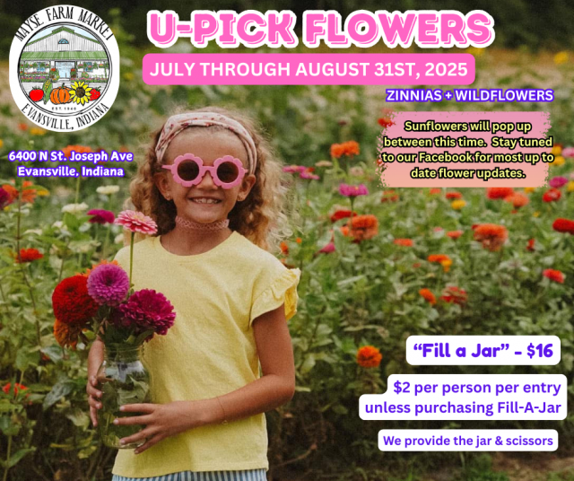 image-1013673-Girl_with_flower_glasses_picking_flowers_(2)-e4da3.w640.png