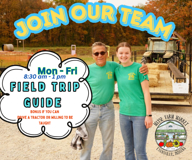 image-1013794-Field_Trip_Guide_weekdays_Hiring-45c48.w640.png