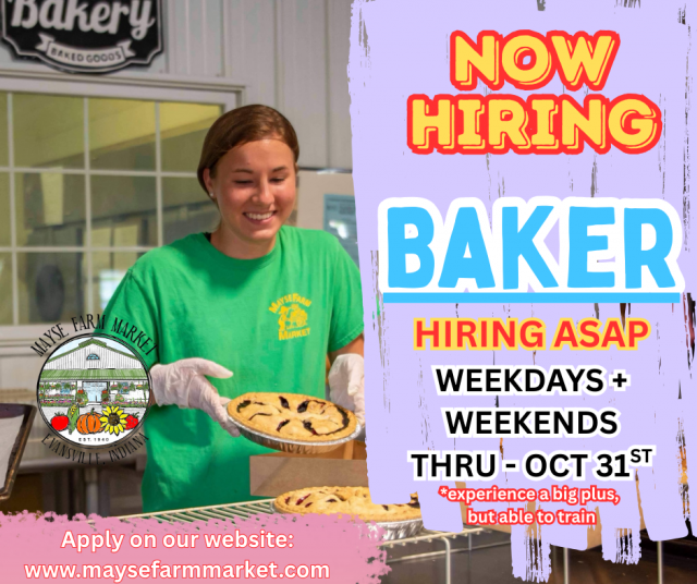 image-1013795-audrey_Baker_for_fall_hiring-c9f0f.w640.png