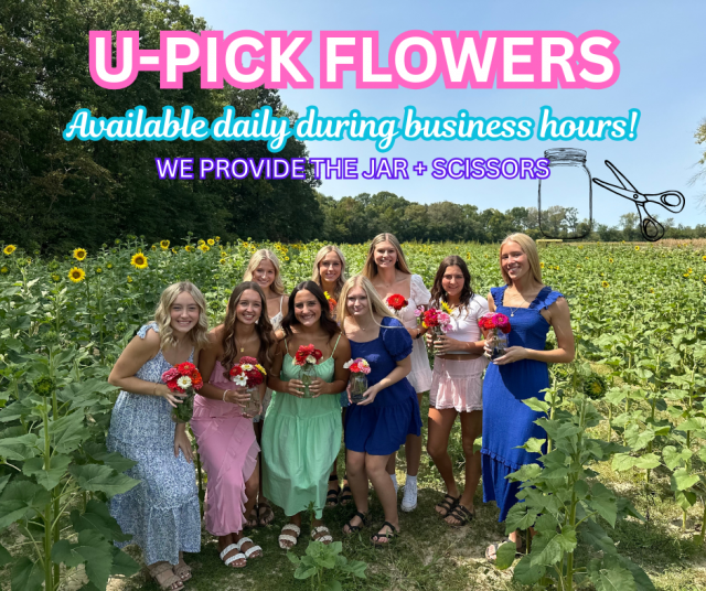 image-1014031-U-PICK_FLOWERS_with_girls-16790.w640.png