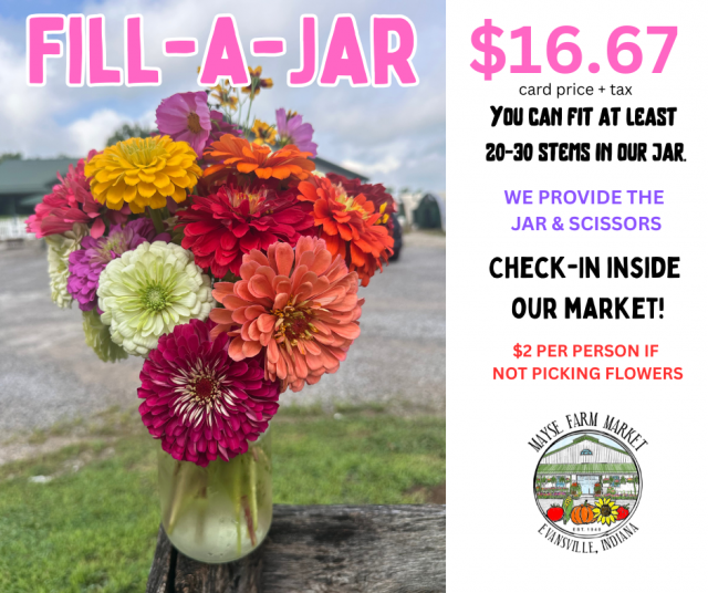image-1014258-fill_a_jar_2025-16790.w640.png