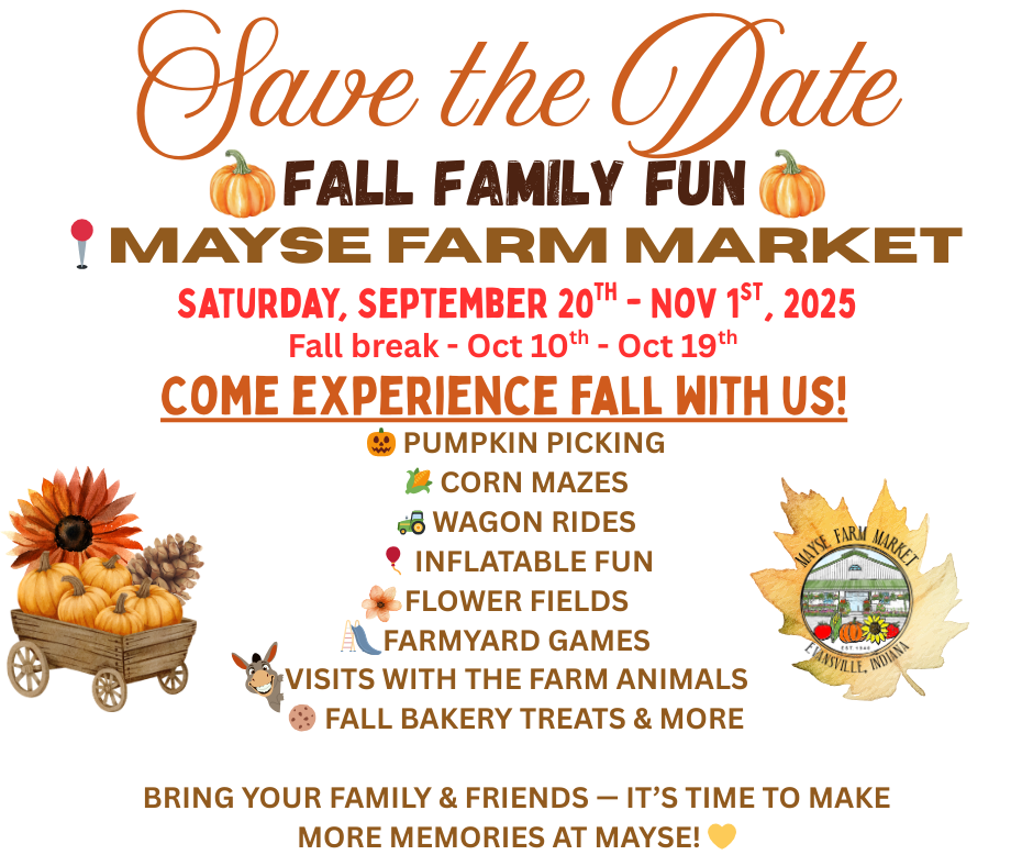 image-1014919-Fall_family_fun_FB-c51ce.png