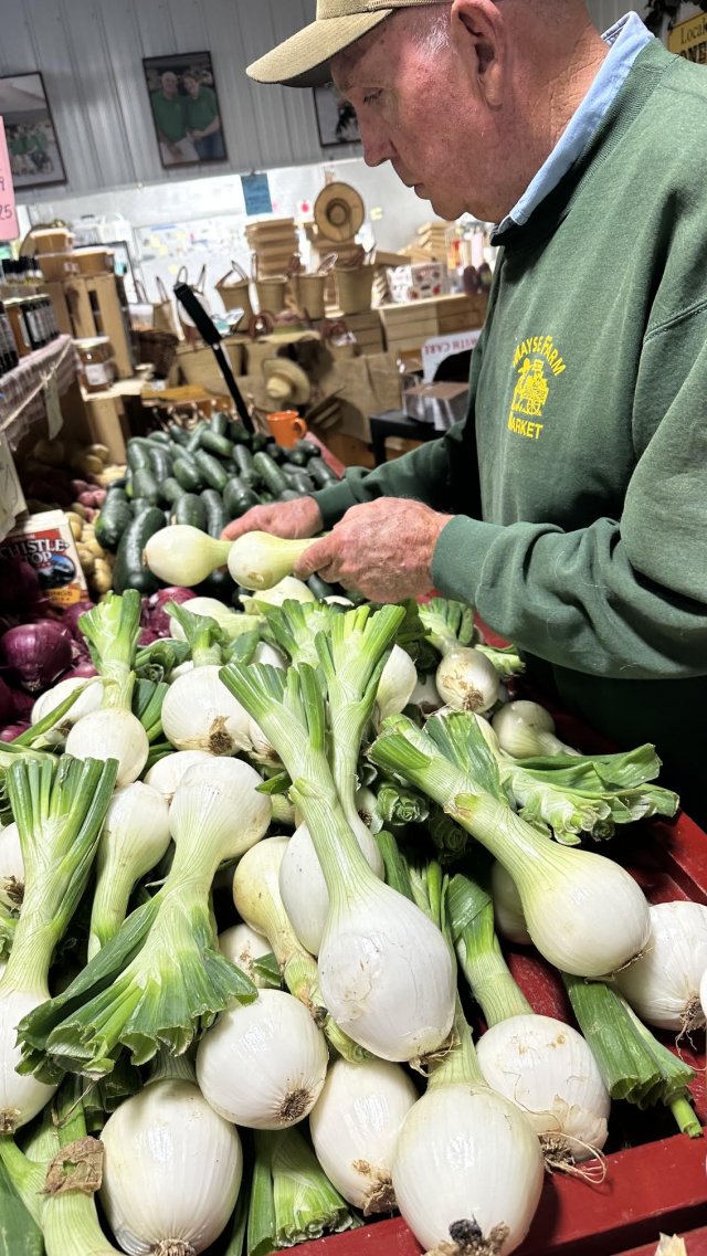 image-1022199-candy_onions_papa-aab32.w640.jpg