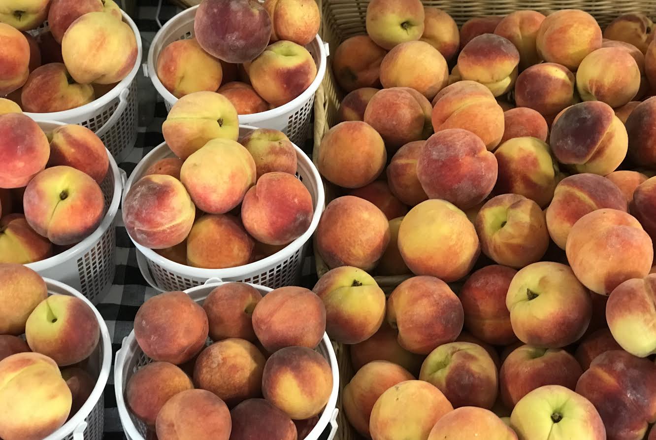 image-819147-Freestone_Peaches-aab32.jpg