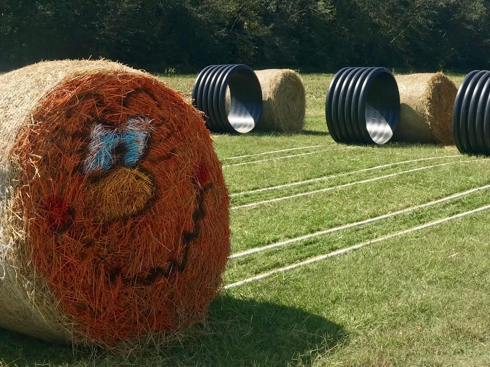 Family Fun on the Farm