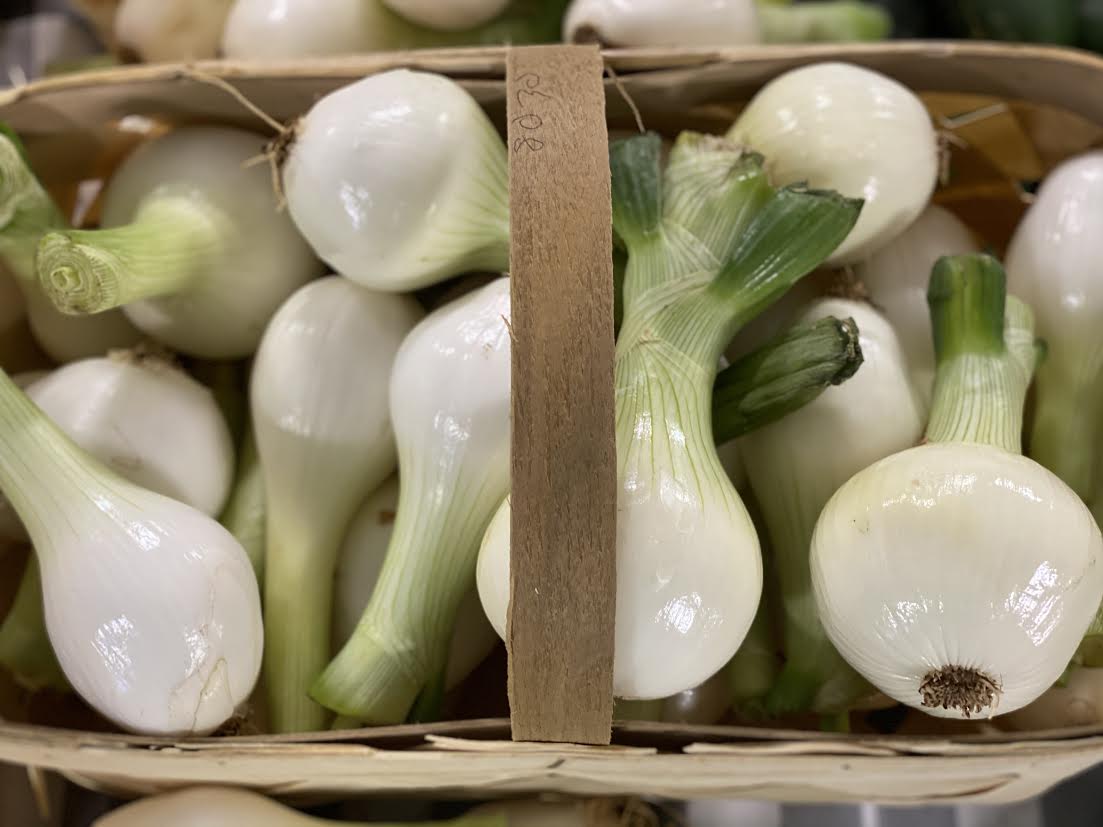 image-883179-Candy_Onions-6512b.jpg