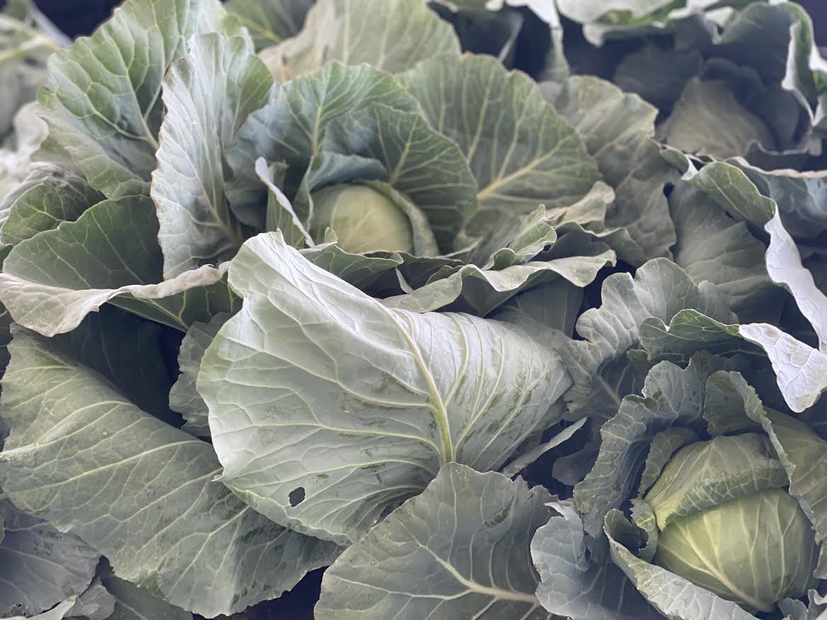 image-930003-Homegrown_Cabbage-c20ad.jpg