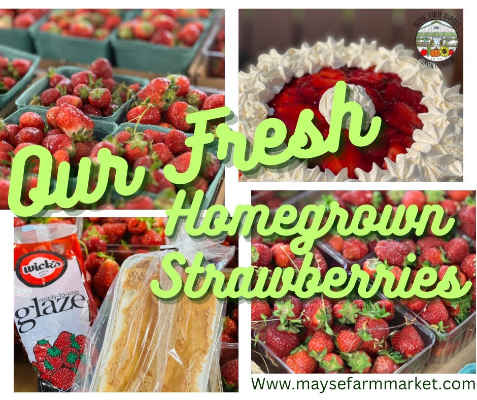 image-983154-Banner_with_Strawberry_Season-c51ce.w640.png