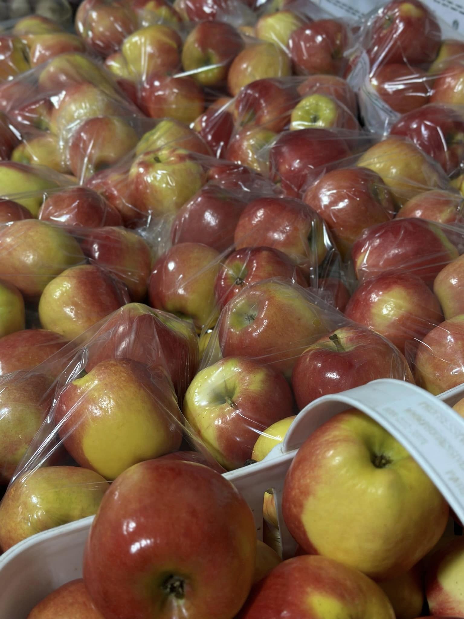 image-991481-Selection_of_Apples_Evercrisp-6512b.jpg
