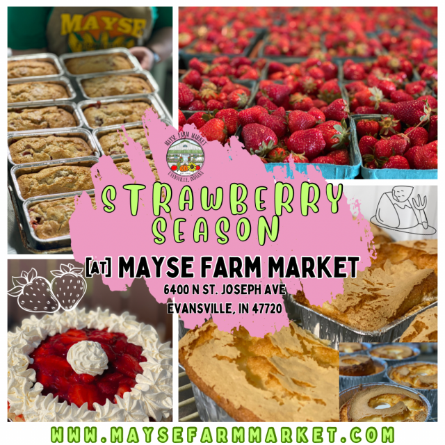 image-997818-Strawberry_Season_graphic-45c48.w640.png