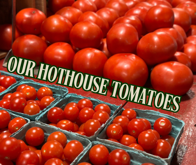image-998909-Our_Hothuse_Tomatoes_Graphic-aab32.w640.png