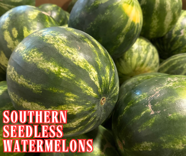image-998911-Southern_Seedless_Watermelon_Graphic-c9f0f.w640.png