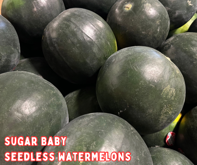 image-999069-Sugar_Baby_Seedless_Watermelons-8f14e.w640.png